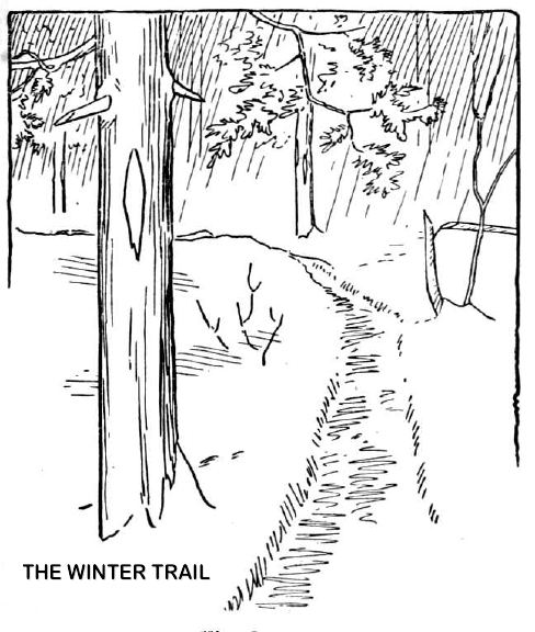 THE WINTER TRAIL.