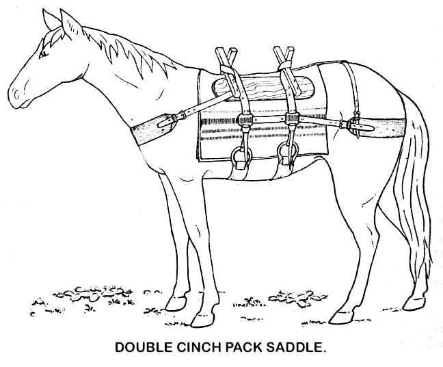 DOUBLE CINCH PACK SADDLE.