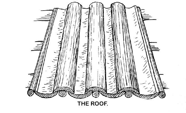 THE ROOF.